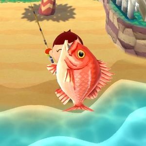 Meet your Posher, Kay